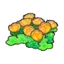 Skyland flowers (orange)