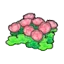 Skyland flowers (pink)