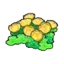 Skyland flowers (yellow)