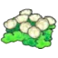 Skyland flowers