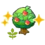 Small Leppa tree (Grow)