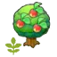 Small Leppa tree