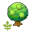 Small Lum tree