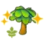 Small palm tree (Grow)