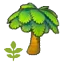 Small palm tree