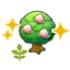 Small Pecha tree (Grow)