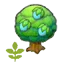Small Rawst tree