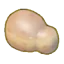 Squishy clay