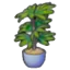 Tall potted plant