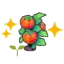 Tomato sprout (Grow)