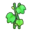 Vine