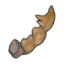 Despot fossil(tail)