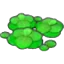 Duckweed