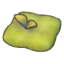 Moss