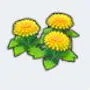 Peaceful Flowers