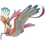 Pidgeot