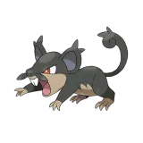 Rattata