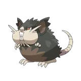 Raticate