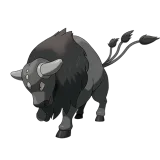 Tauros Paldea Combat