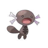Wooper