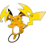 Raichu Y