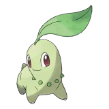 Chikorita
