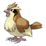 Pidgey