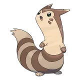 Furret