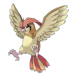 Pidgeotto