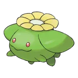 Skiploom
