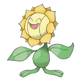 Sunflora