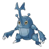 Heracross
