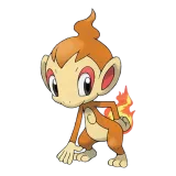 Chimchar