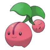 Cherubi