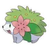 Shaymin Land