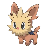Lillipup