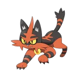 Torracat