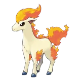 Ponyta