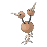 Doduo