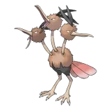 Dodrio