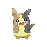 Morpeko Full Belly